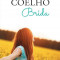 Brida &ndash; Paulo Coelho