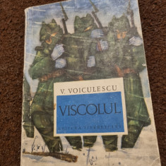 carte pentru - copii viscolul - v. voiculescu - din anul 1968