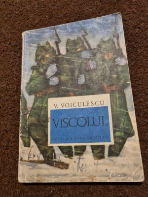 carte pentru - copii viscolul - v. voiculescu - din anul 1968 foto