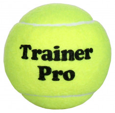 Trainer Training Tennis Balls 1 buc foto