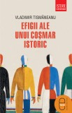 Efigii ale unui cosmar istoric (epub)