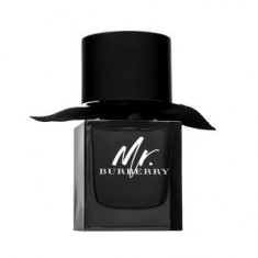 Burberry Mr. Burberry Eau de Parfum barba?i 50 ml foto