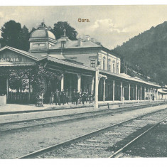 3651 - SINAIA, Prahova, Railway Station, Romania - old postcard - unused