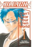 Bleach: Can't Fear Your Own World, Vol. 1 - Ryohgo Narita