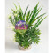 Plante artificiale acvariu, SYDECO FIESTA AQUA BUSH, 24 cm, 1 buc, 380203