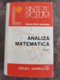 Analiza matematica vol1 - Catalin-Petru Nicolescu