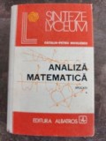 Analiza matematica vol1 - Catalin-Petru Nicolescu