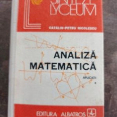 Analiza matematica vol1 - Catalin-Petru Nicolescu