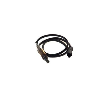 Sonda Lambda BMW 3 Cabriolet E46 BOSCH 0258005109 foto