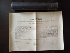 NI547 Diplomă de medic eliberată de Universitatea din Cluj, 1932, semnată olograf de Dimitrie Gusti și Nicolae Drăganu, &icirc;n limba latină, cu etui