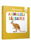 Cumpara ieftin Animalele salbatice