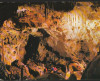 CPI B12436 CARTE POSTALA - PESTERA URSILOR , CHISCAU, BIHOR, 582, Necirculata, Fotografie