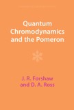 Quantum Chromodynamics and the Pomeron