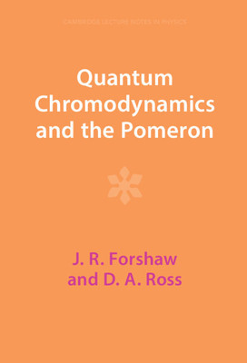 Quantum Chromodynamics and the Pomeron foto