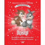 Iepurasi. Bocanila la sarbatoarea recoltei. Bocanila si animalele nocturne