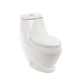 Cumpara ieftin Vas de toaletă Coral Monobloc cu evacuare inferioară