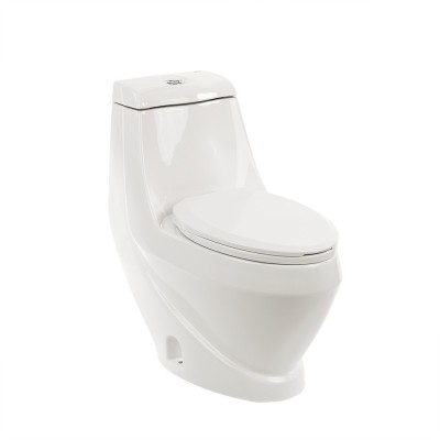 Vas de toaletă Coral Monobloc cu evacuare inferioară foto
