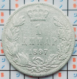 Serbia 1 dinar 1897 argint - Aleksandar I - km 21 - A032