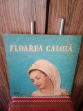 Disc vinil - Floarea Calota EX+