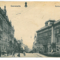 5506 - CERNAUTI, Bucovina, street stores - old postcard - used - 1912