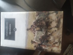 TIGANIADA ION BUDAI DELEANU