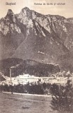 Busteni. Fabrica de hartie si celuloza (necirculata)