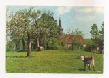 FA127 -Carte Postala- FRANTA - Prairie normade au printemps, necirculata