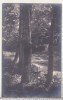 Bnk cp Slanic Moldova - Peisaj - uzata 1928, Circulata, Printata