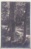 bnk cp Slanic Moldova - Peisaj - uzata 1928