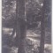 bnk cp Slanic Moldova - Peisaj - uzata 1928