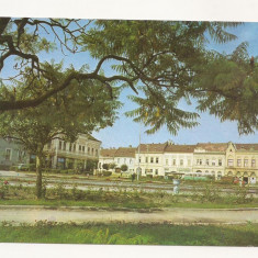 RF17 -Carte Postala- Vedere din Fagaras, necirculata