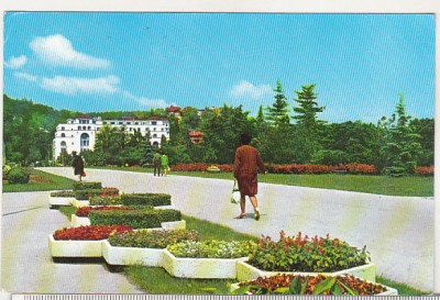 bnk cp Brasov - Vedere - circulata foto
