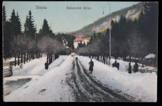 SINAIA - BULEVARDULGHICA , CARTE POSTALA ILUSTRATA , POLICROMA , NECIRCULATA , DATATAT 1923 foto