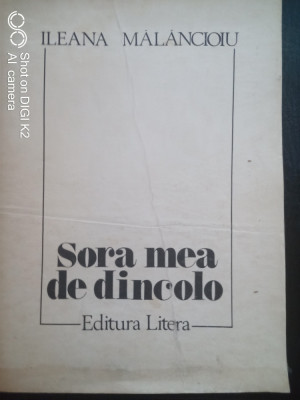 Sora mea de dincolo-versuri-Ileana Malancioiu foto