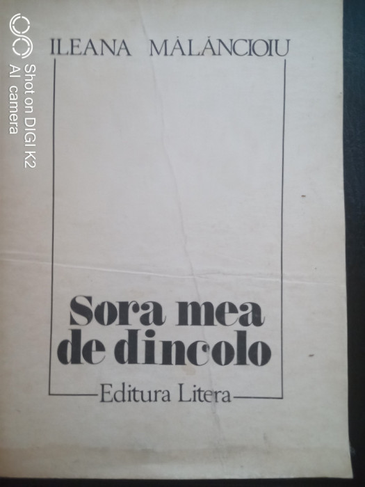 Sora mea de dincolo-versuri-Ileana Malancioiu