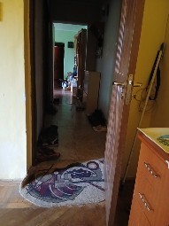 Apartament 3 camere