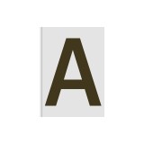 Sans in Use: Creative Typefaces and Their Applications