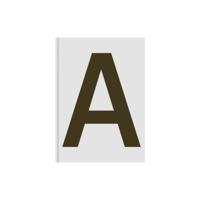 Sans in Use: Creative Typefaces and Their Applications foto