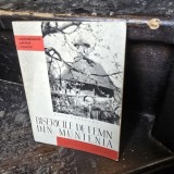 BISERICILE DE LEMN DIN MUNTENIA - RADU CRETEANU