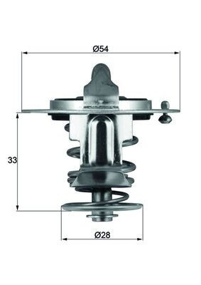 MAHLE TX 72 85D termostat,lichid racire foto