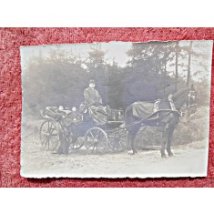 Fotografie tip carte postala, la padure cu trasura, inceput de secol XX