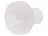 Surub M3, poliamida, lungime 4mm, cap rotund, pas filet 0.5, DREMEC - 8G205M3X04 foto
