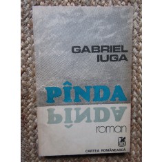 GABRIEL IUGA - PANDA