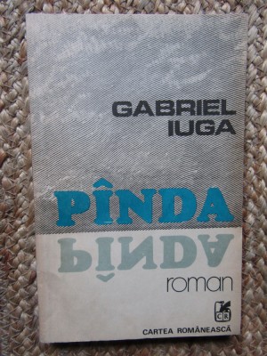 GABRIEL IUGA - PANDA foto