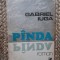 GABRIEL IUGA - PANDA