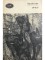 Foto  - 1