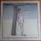 LP (vinil) Steve Winwood &ndash; Steve Winwood (EX)