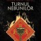 Turnul Nebunilor, Andrzej Sapkowski - Editura Nemira