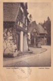 Vederi din Sinaia. Castelul Pelisor (circulata 1952)