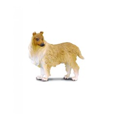 Collie cu par sarmos L Collecta